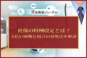 社保の特例改定とは？