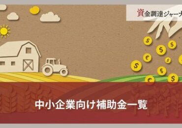 【2025年最新版】中小企業向け補助金一覧